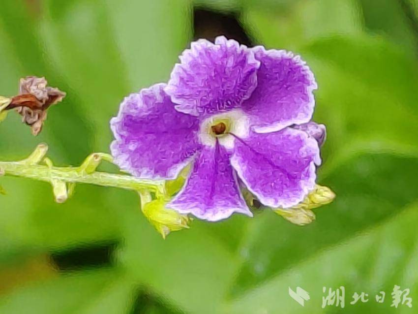365bet备用网址888